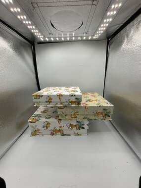 Punch Studio Tiger and Floral Pattern Decorative Keepsake Storage Box Set
